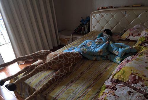 千万不要给孩子买长颈鹿啊