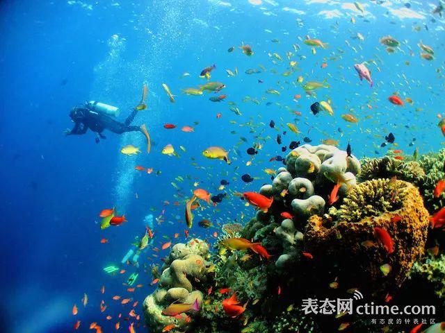 只有0次和无数次，当代中产阶级为什么如此热爱这项运动？ |周末不谈表