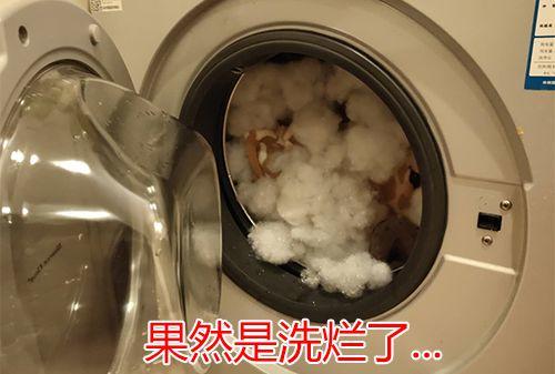 千万不要给孩子买长颈鹿啊