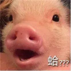 强制垃圾分类第9天，大闸蟹是什么垃圾？上海人：已经戒掉了...
