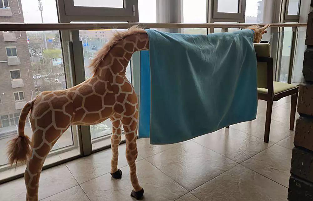 千万不要给孩子买长颈鹿啊
