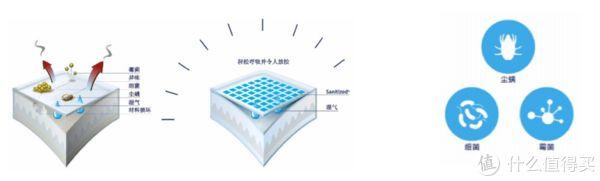 敏感人群的安心睡眠神器？探店慕思M2 PLUS防螨床垫