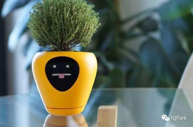 能把花养成电子宠物的高科技花盆了解一下