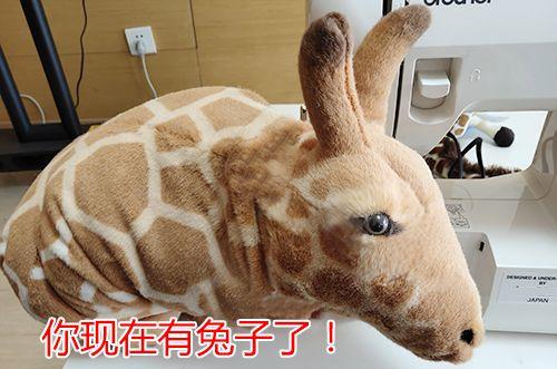 千万不要给孩子买长颈鹿啊