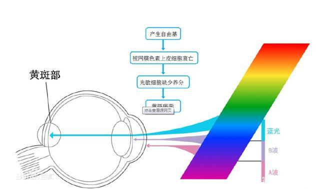 都是液晶屏，给孩子看手机和看电视哪个更伤眼？