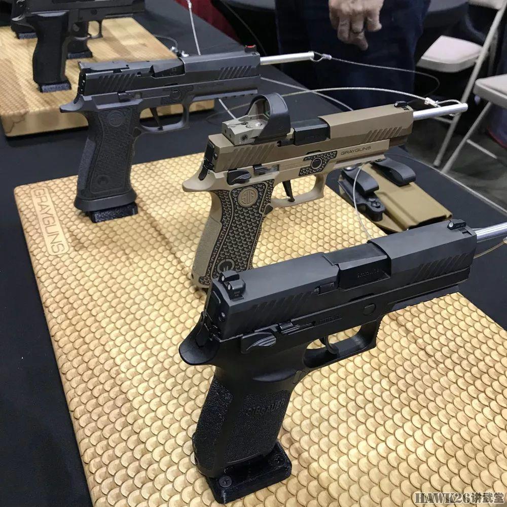 P365微型手枪升级版亮相 重现电影中的哈莉·贝瑞爱枪