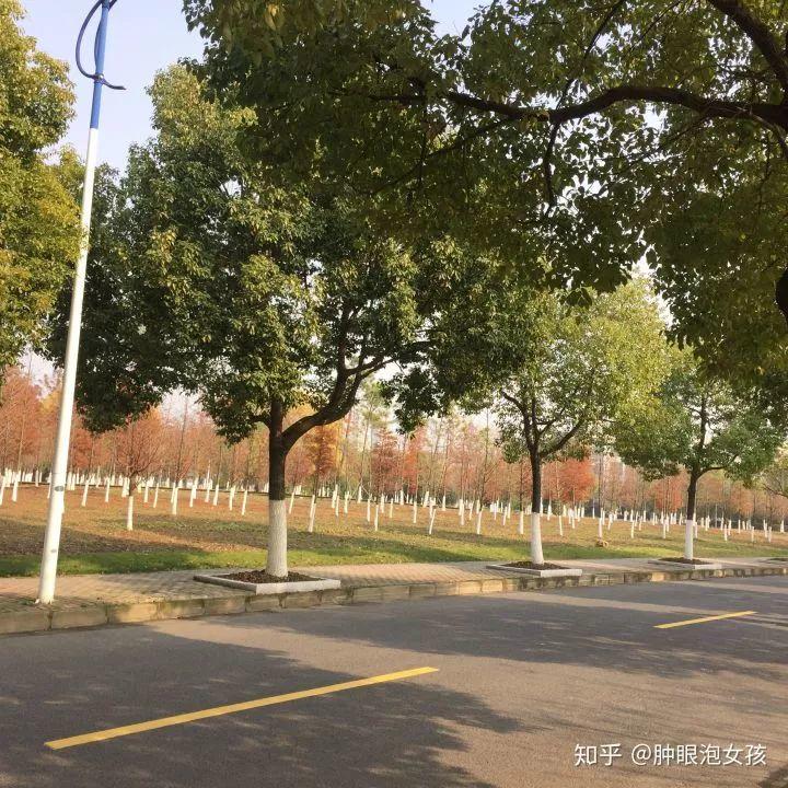 外国人：来中国我才知道……