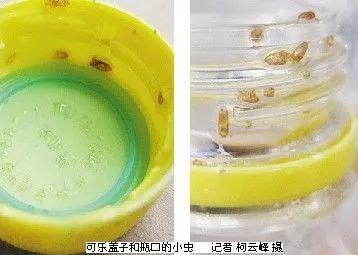 学点知识 | 喝过很多汽水，却没想过瓶盖为什么长这样