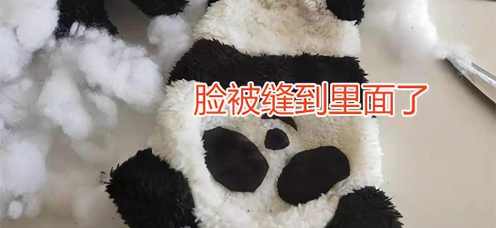一次创业的经历