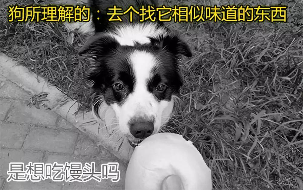 一次创业的经历