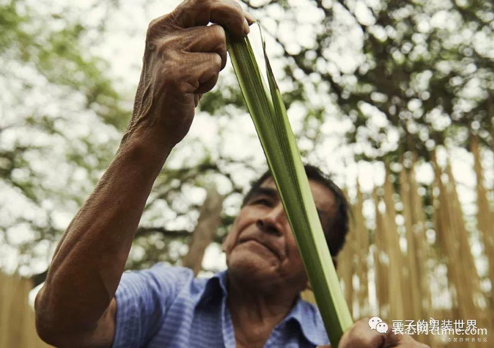 明明是厄瓜多尔产,为什么偏偏叫巴拿马草帽? 明明是厄瓜多尔产,为什么偏偏叫巴拿马草帽?