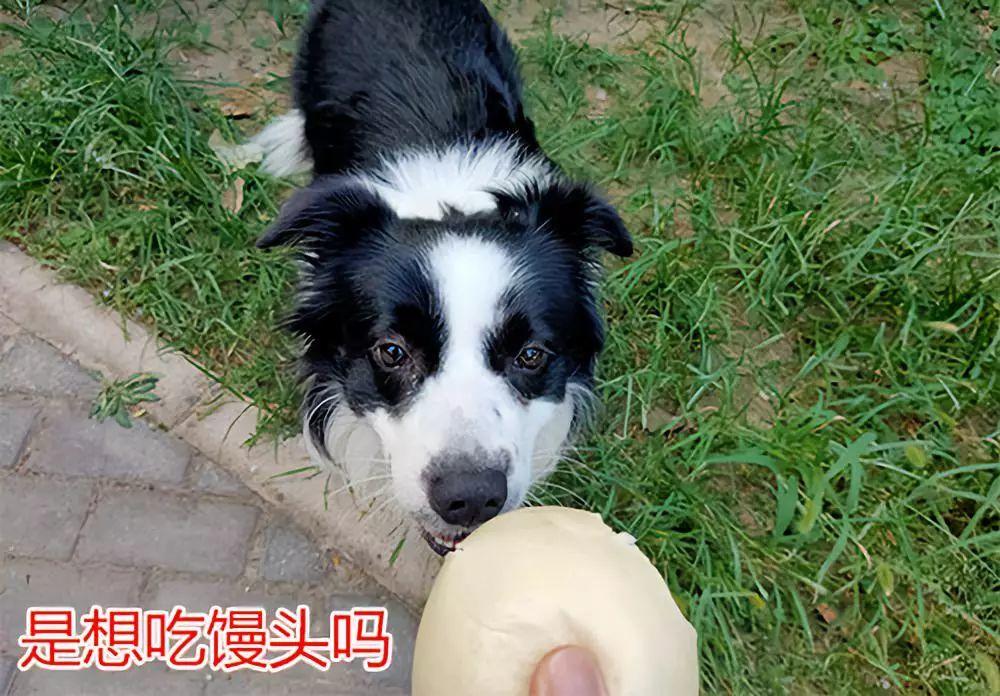 一次创业的经历