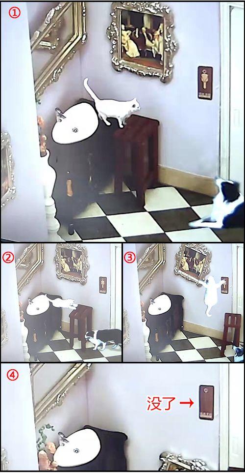 一次创业的经历