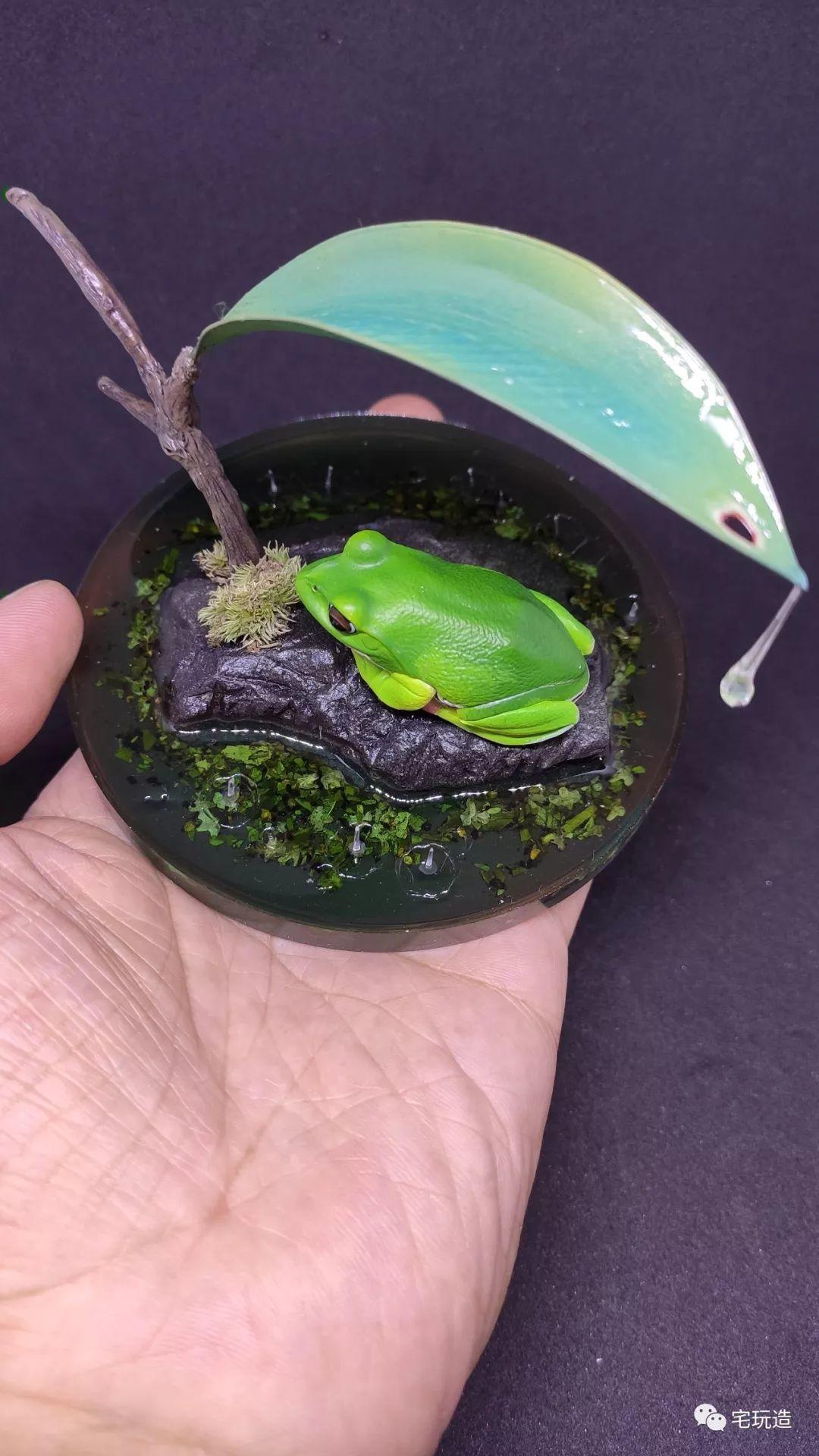 手把手教你如何成为一只有逼格的蛙 手把手教你如何成为一只有逼格的蛙