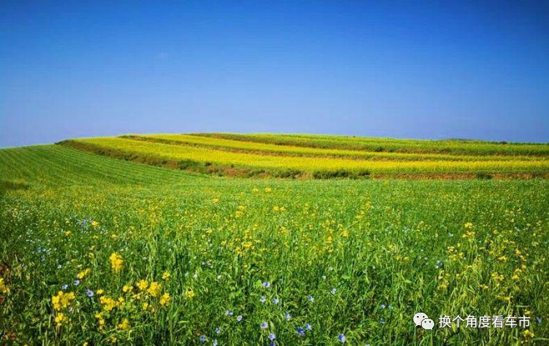 北京向北，找一个19℃的夏天 —比亚迪唐EV600草原天路周末错峰自驾攻略