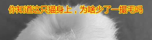 千万不要随便帮孩子做衣服
