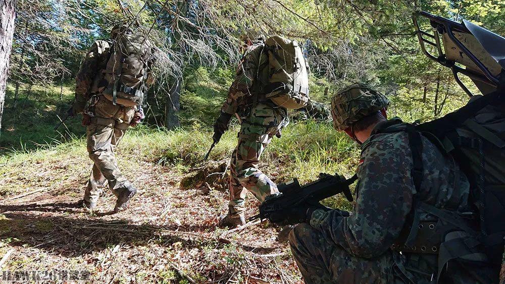 法比德奥四国山地步兵联合训练 难得一见的高技术兵种特殊技巧