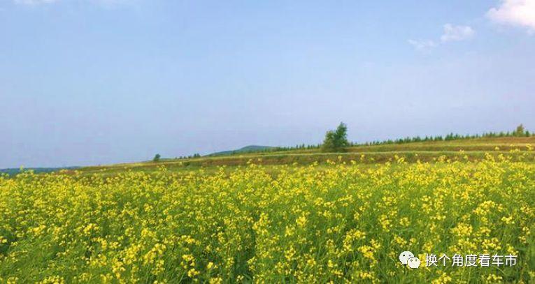 北京向北，找一个19℃的夏天 —比亚迪唐EV600草原天路周末错峰自驾攻略