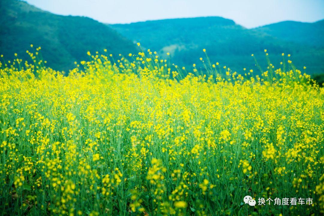 夏秋一目，木兰秋弥——比亚迪唐EV600千里出行攻略