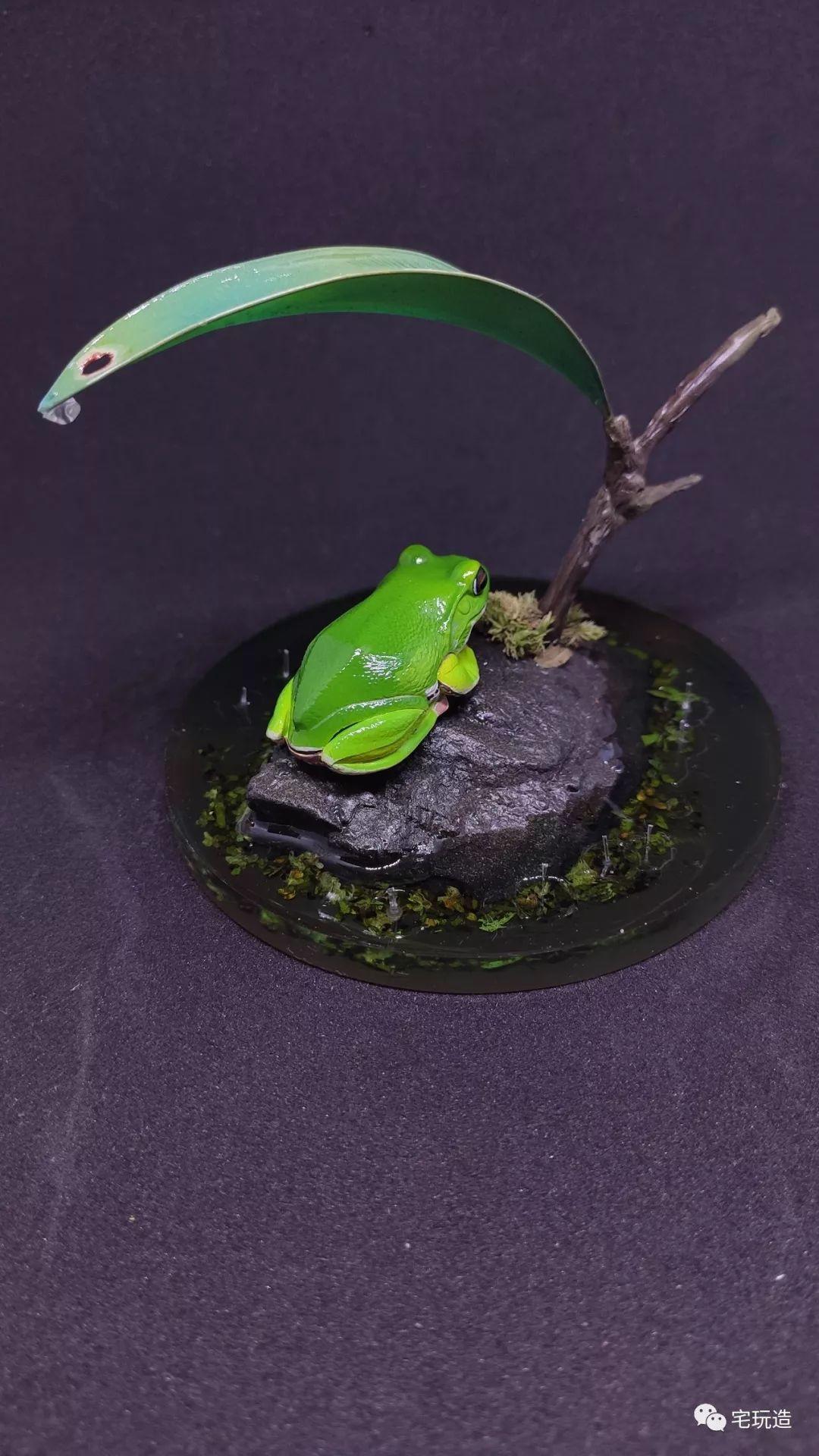 手把手教你如何成为一只有逼格的蛙 手把手教你如何成为一只有逼格的蛙