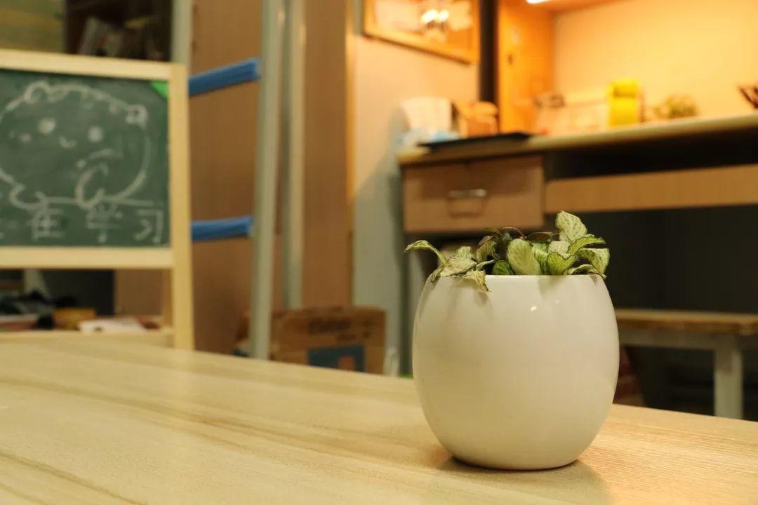 学点知识 | 有哪些能提高宿舍生活质量的神器？