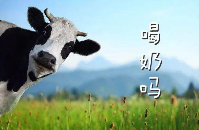 喝遍5个地区7个国家，这份年终牛奶购买清单请惠存！