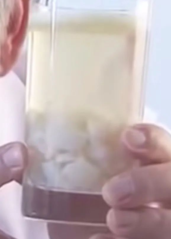 一头猪到一包棉花糖,中间到底发生了什么? | 有趣的制造 一头猪到一包棉花糖,中间到底发生了什么? | 有趣的制造