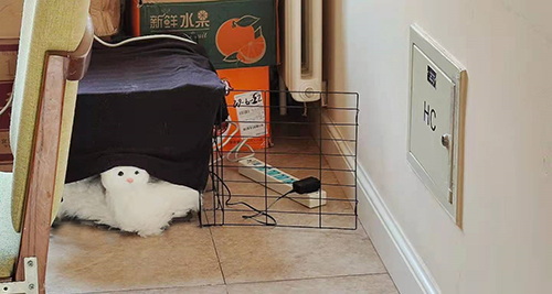 千万不要欺骗孩子啊