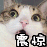 大家都是肥皂,手工皂怎么就成了高级护肤品? 大家都是肥皂,手工皂怎么就成了高级护肤品?