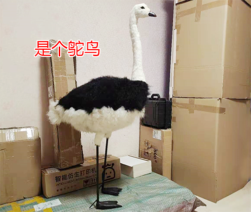 千万不要欺骗孩子啊