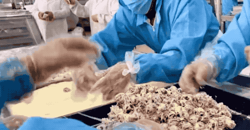 网红小零食「奶枣」是怎么流水线去核、塞巴旦木、裹糖生产的? | 有趣的制造 网红小零食「奶枣」是怎么流水线去核、塞巴旦木、裹糖生产的? | 有趣的制造