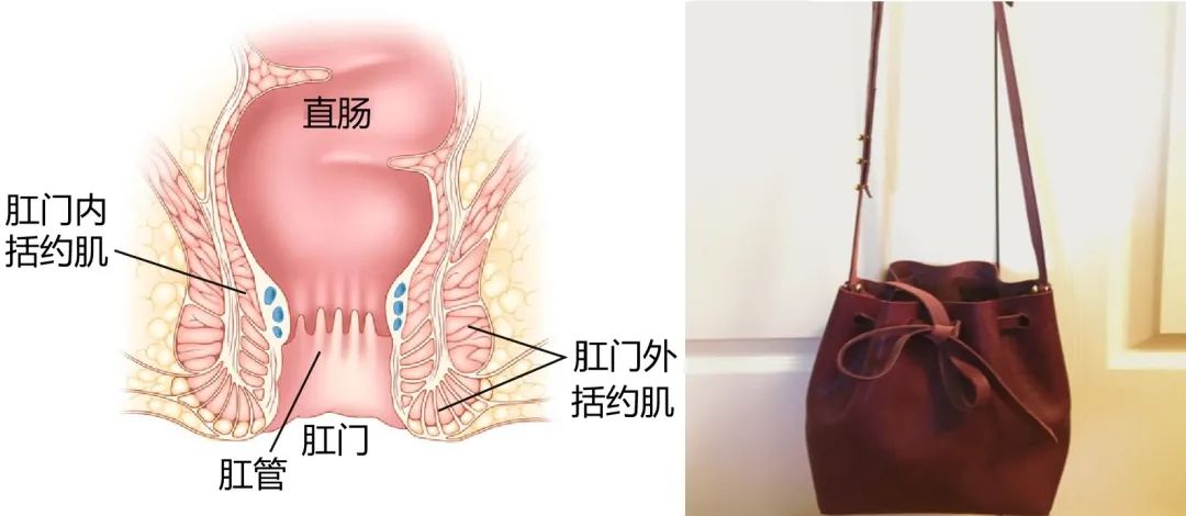 科学擦屁股指南 科学擦屁股指南