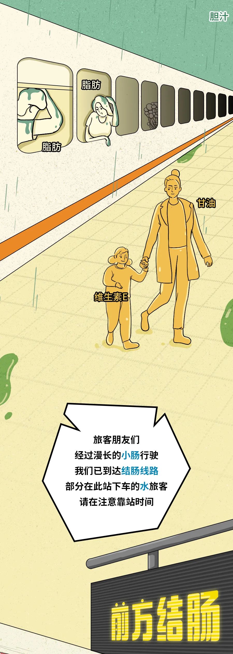 身为“造粪机”,你知道食物是怎么变成粑粑的吗? 身为“造粪机”,你知道食物是怎么变成粑粑的吗?