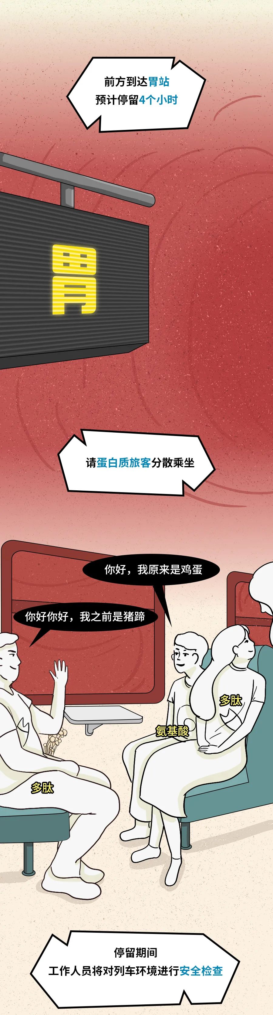 身为“造粪机”,你知道食物是怎么变成粑粑的吗? 身为“造粪机”,你知道食物是怎么变成粑粑的吗?