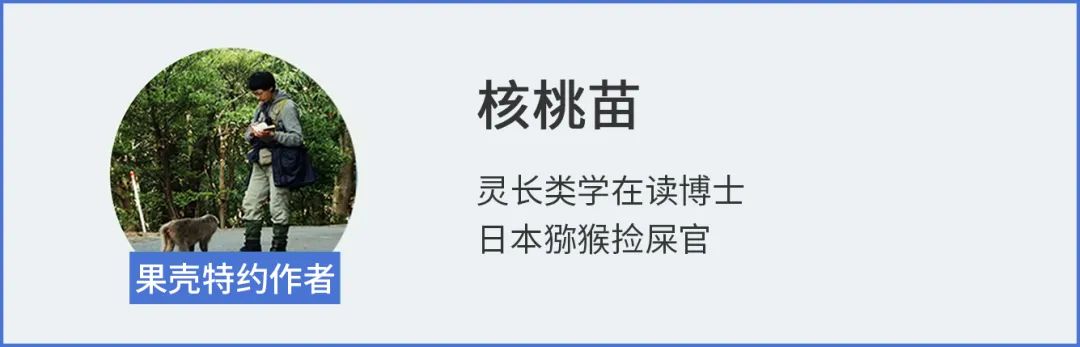 小猫咪有大计划,吸猫薄荷还能驱蚊呢! 小猫咪有大计划,吸猫薄荷还能驱蚊呢!