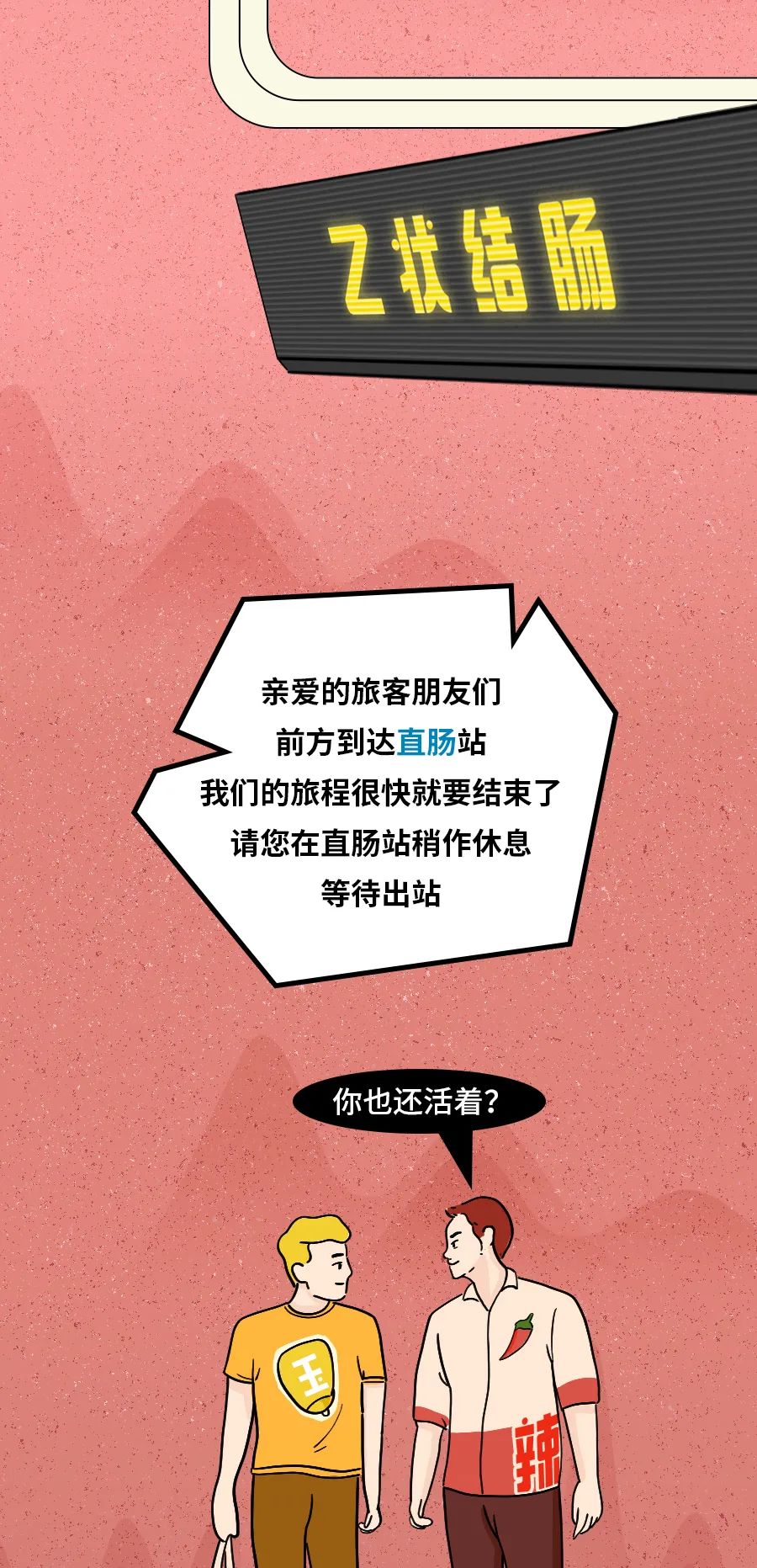 身为“造粪机”,你知道食物是怎么变成粑粑的吗? 身为“造粪机”,你知道食物是怎么变成粑粑的吗?