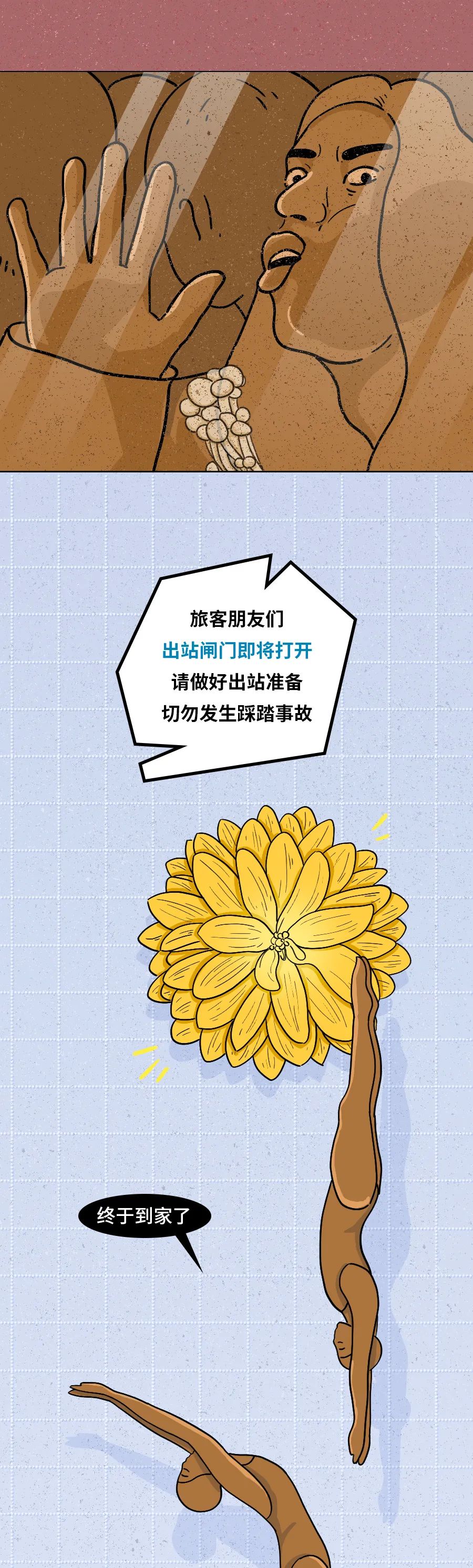 身为“造粪机”,你知道食物是怎么变成粑粑的吗? 身为“造粪机”,你知道食物是怎么变成粑粑的吗?