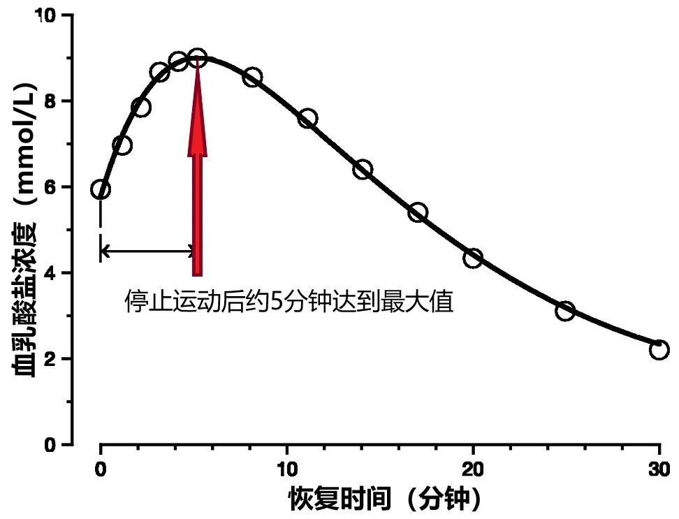 肌肉酸痛来自“乳酸堆积”?乳酸背了一百年的黑锅 肌肉酸痛来自“乳酸堆积”?乳酸背了一百年的黑锅