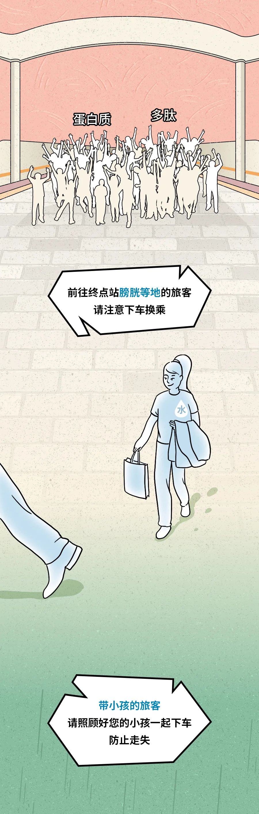 身为“造粪机”,你知道食物是怎么变成粑粑的吗? 身为“造粪机”,你知道食物是怎么变成粑粑的吗?