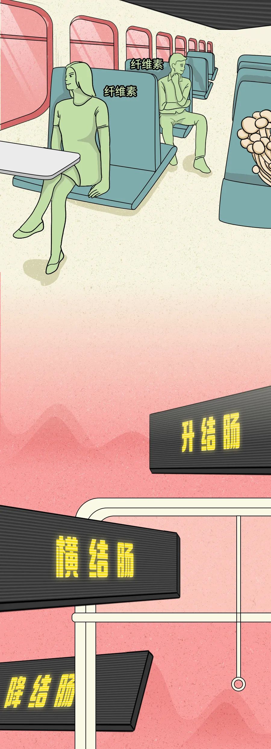 身为“造粪机”,你知道食物是怎么变成粑粑的吗? 身为“造粪机”,你知道食物是怎么变成粑粑的吗?